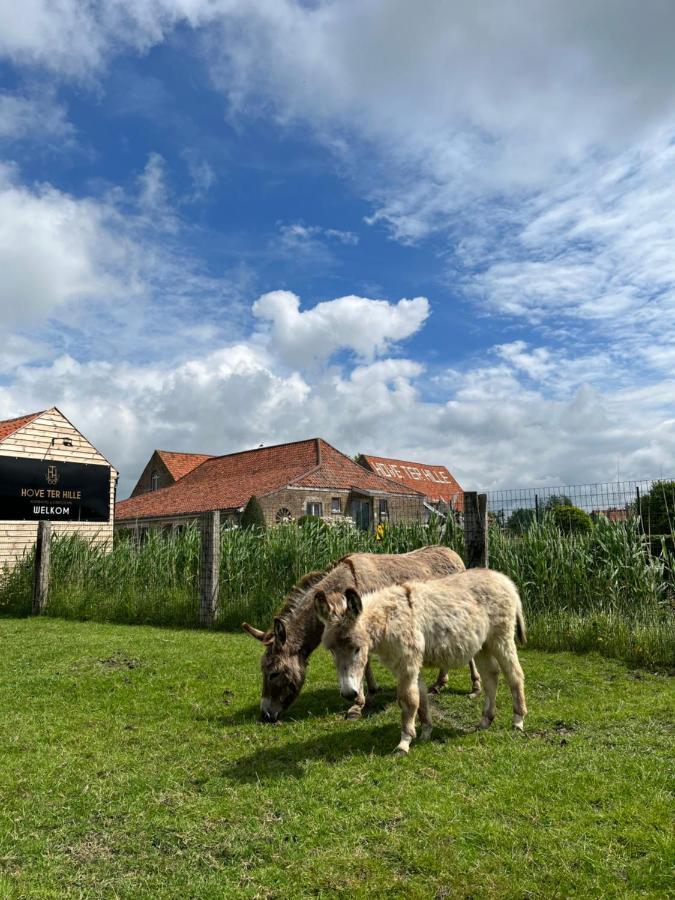 Pensión Hove Ter Hille